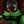 dante basilio confession avatar