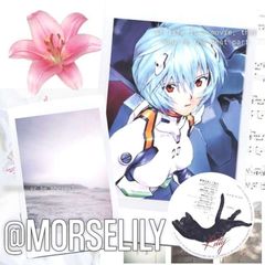 MORSELILY, OPEN CUSTOM avatar