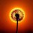 Dandelion Chat