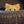 Kittywaffens shitpost repository avatar