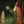 Druidposting avatar