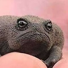 Мемы от Севы inc. avatar