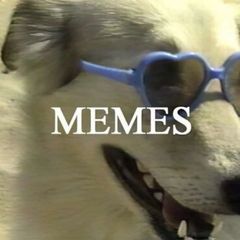 Подъезд с мемами avatar