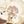 Royal margarine cookie cf avatar