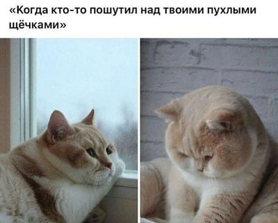 Post media