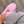 Bache Tokhs avatar