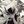 🌙Moon Knight Confessions avatar