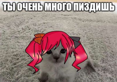 Post media