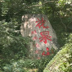 花果山⛰️ avatar