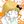 🍜Жырные курицы photo📢📢: ULTRA PLATINUM ULTIMATE COMPLETE INCLUSIVE EDITION avatar