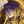 shelby-varliona avatar
