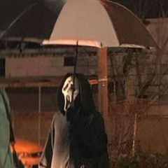 SVSHV avatar
