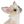 Golden Chihuahua avatar