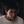 DONNIE DARKO CONFESSION avatar
